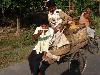 Foto07.jpg